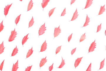 Autumn floral background