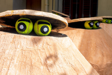 ojos