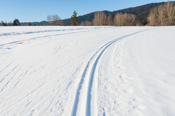Fototapeta premium Winter landscape. Winter landscape. Ski track in the snow. Natural background, pattern.