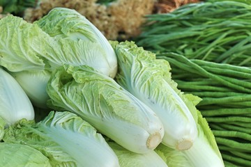 Chinese cabbage in the market