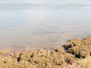 river edge tide coming up water moving landscape view