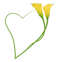 Realistic yellow calla lily romantic frame, heart. The symbol of Beauty and Grace.
