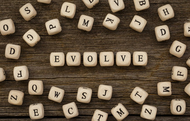 Word EVOLVE written on wood block