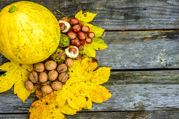Autumn background. Composition of pumpkin on yellow and green leaves with chestnuts and walnuts on old wooden boards. Copy of space for writing text.
