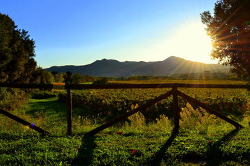Fototapeta premium Beautiful Italian summer landscape. Green field with trees and a fence, the sun sets behind the mountains