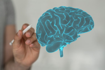 brain