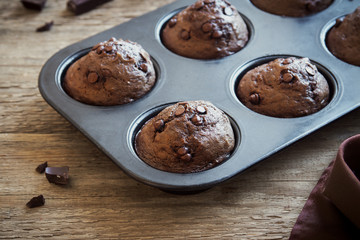 Chocolate Muffins