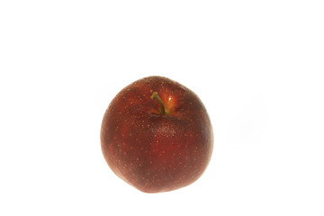 リンゴ　紅ロマン　白抜き