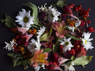 Autumn flowers