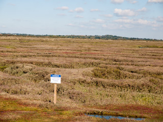 marshland scene outside with danger sign up front