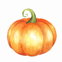 Orange pumpkin. Isolated on white background. Watercolor illustration