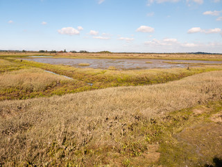 Fototapeta premium landscape scene view grassland outside marsh land