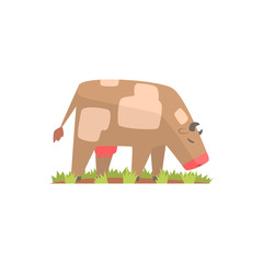 Cow grazing on a summer pasture, dairy cow cartoon vector Illustration