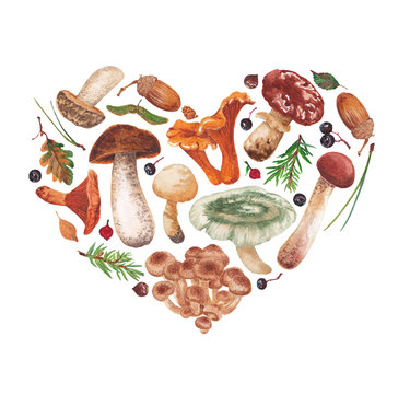 Mushrooms, berries, leaves, nuts. Autumn gifts in the form of heart.