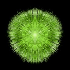 Zielona sierść © Asfodel