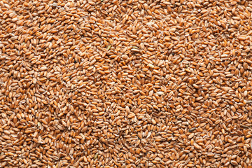 Ripe cereal grains as background