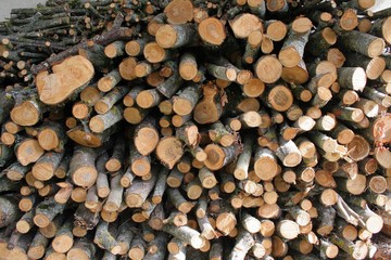 Firewood