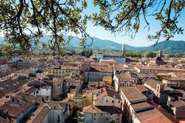 Panorama belvedere di Lucca, Italia veduta area