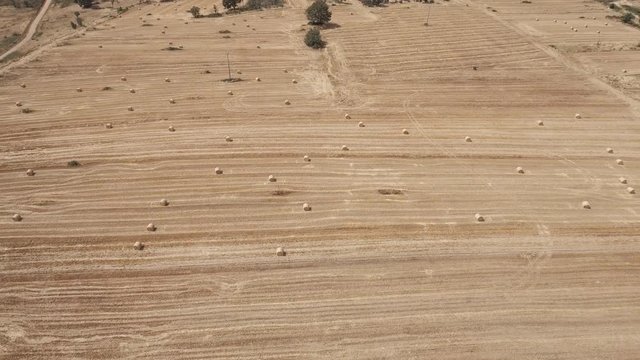Flying over cultivated land with bales of straw