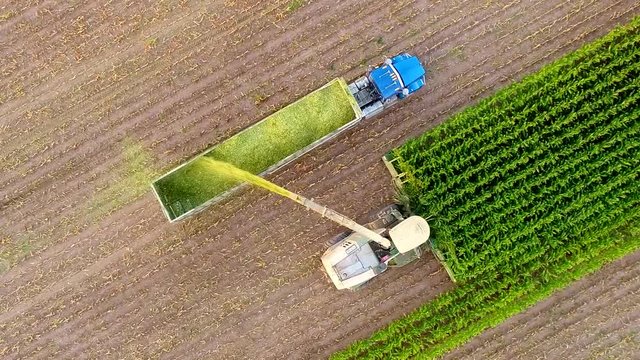 Tractor and farm machines harvesting corn in Autumn, breathtaking aerial view.
