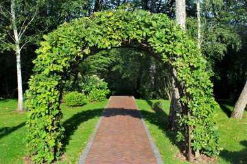 Fototapeta na wymiar Garden arch made of intertwined oak branches