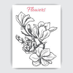 Vector illustration sketch - card with flowers magnolia