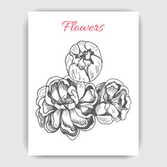 Vector illustration sketch - card with flowers peony
