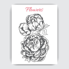 Vector illustration sketch - card with flowers peony