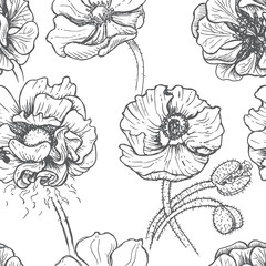 Vector illustration sketch - card with flowers poppy. Pattern with flowers.
