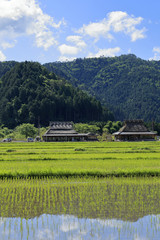 A fresh green and a thief roof