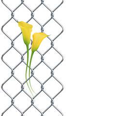 Rabitz fence with realistic yellow calla lily as left border, pattern.