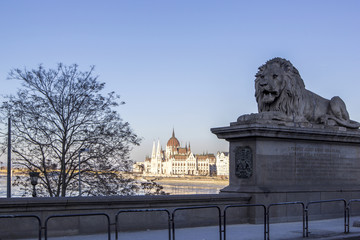Obraz premium Lion on chain bridge and the parliament in Budapest, Hungary