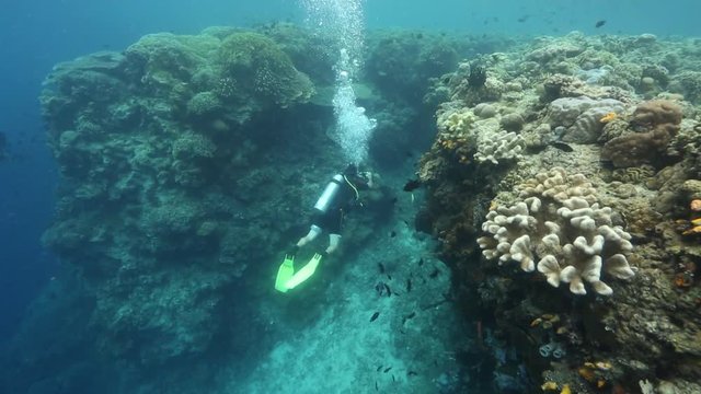 Scuba diver taking photos along coral reef wall of Bunaken Island, Indonesia 