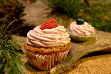 Fruit cupcakes