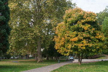 Parc Steinbach à Mulhouse au début de l'automne