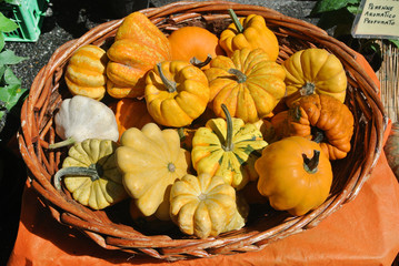 pumpkins