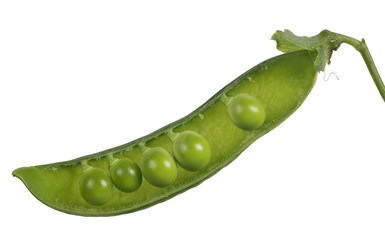 open pod with five peas isolated on white