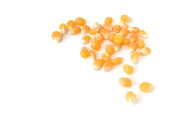  Corn kernel on white background - isolated