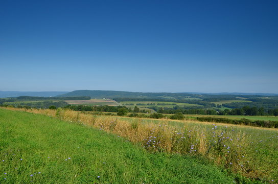 Summer farm fields on the hillside of upstate New York 