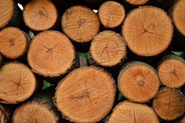 Cut and stacked firewood logs - Natural wooden Background