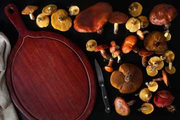 mushrooms porcini on black, knife and cutting board