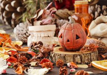 Obraz na płótnie Canvas decorative pumpkin for Halloween with dried flowers
