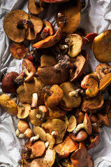 heap of fresh mushrooms porcini