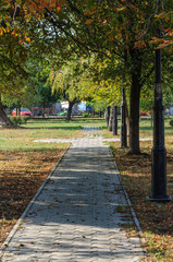 The park alley on a sunny October day