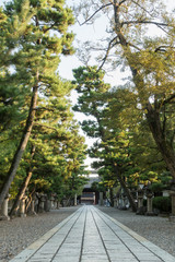 Obraz premium A long stone paving way of Gokonomiya shrine in Kyoto, Japan
