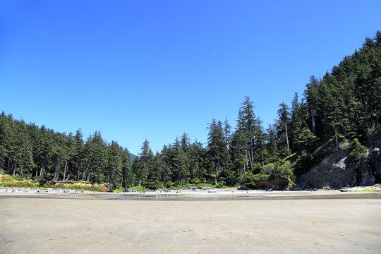 Short Sand Beach Cove, Oswald West, Oregon