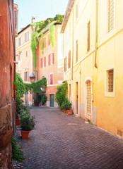 Fototapeta na wymiar view of old town italian narrow street in Trastevere, Rome, Italy, retro toned