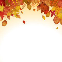 Autumn Leaves Background
