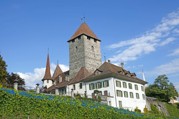 Fototapeta na wymiar Schloss in Spiez, Thunersee, Schweiz
