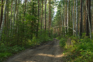 Fototapeta premium arch